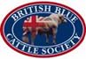 british blue cattle