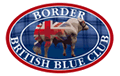 border belgian blue