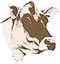 Jersey Cattle Society