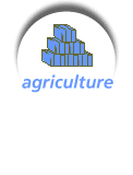 tumpline agriculture